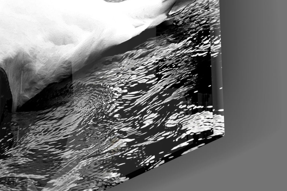 Swan artwork anchoring a gallery-inspired wall in moody palette