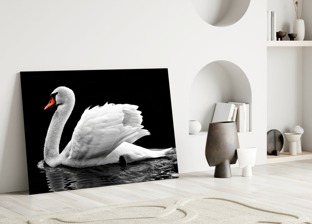 Close-up detail of swan's arched neck and orange beak on dark water