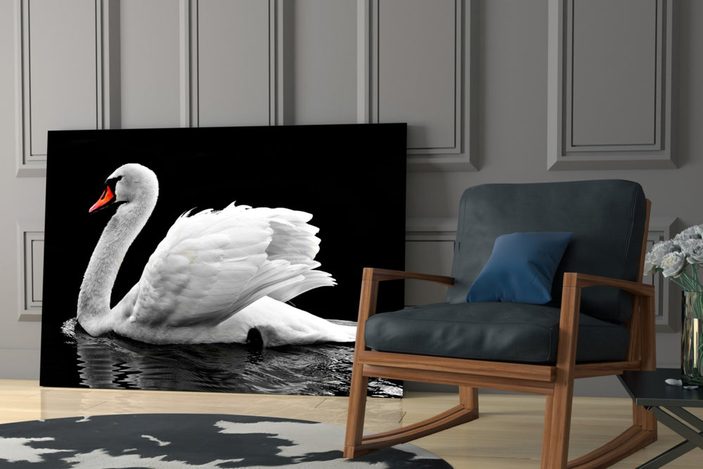 Swan glass print enhancing a hallway with quiet drama