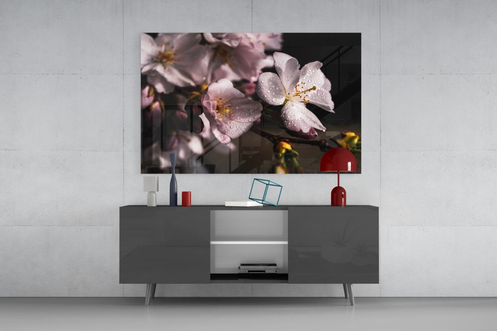 Macro Flower panel catching low light to reveal its luminous petals