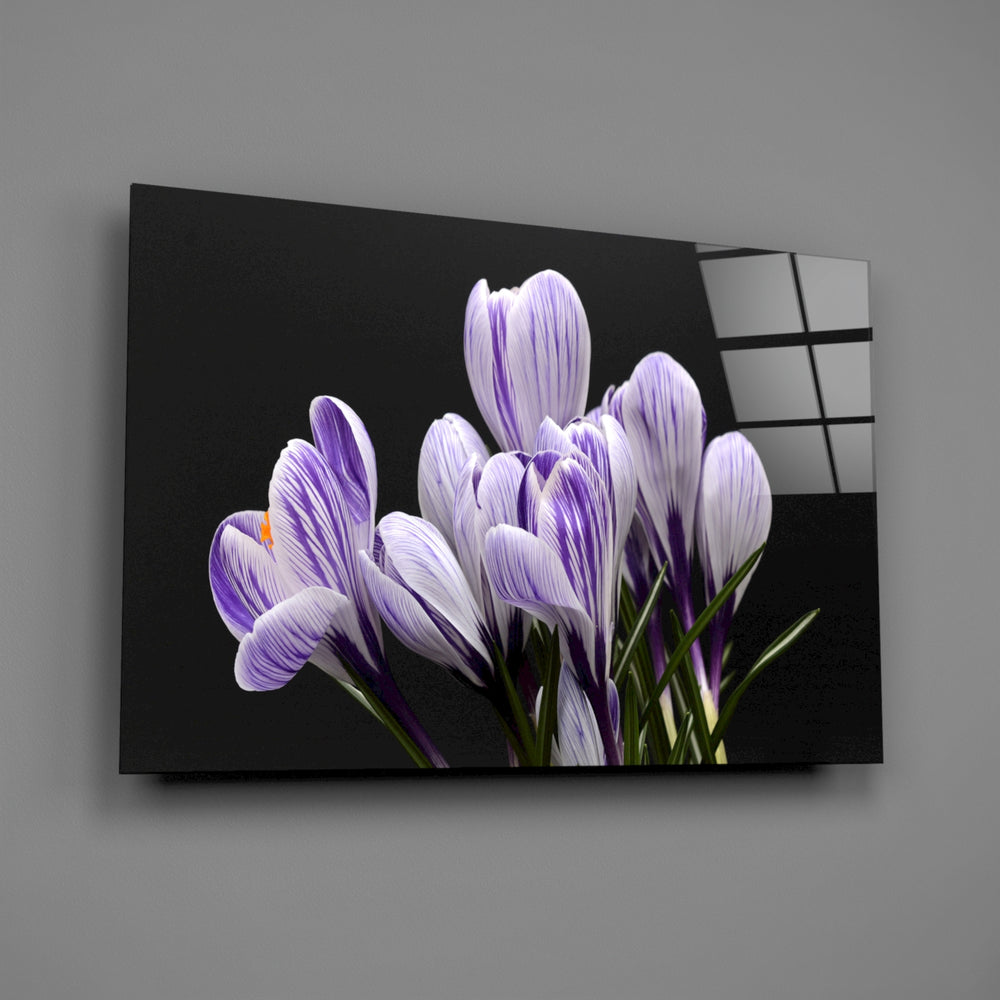 Striped crocus panel bringing romantic intimacy to a contemporary living space