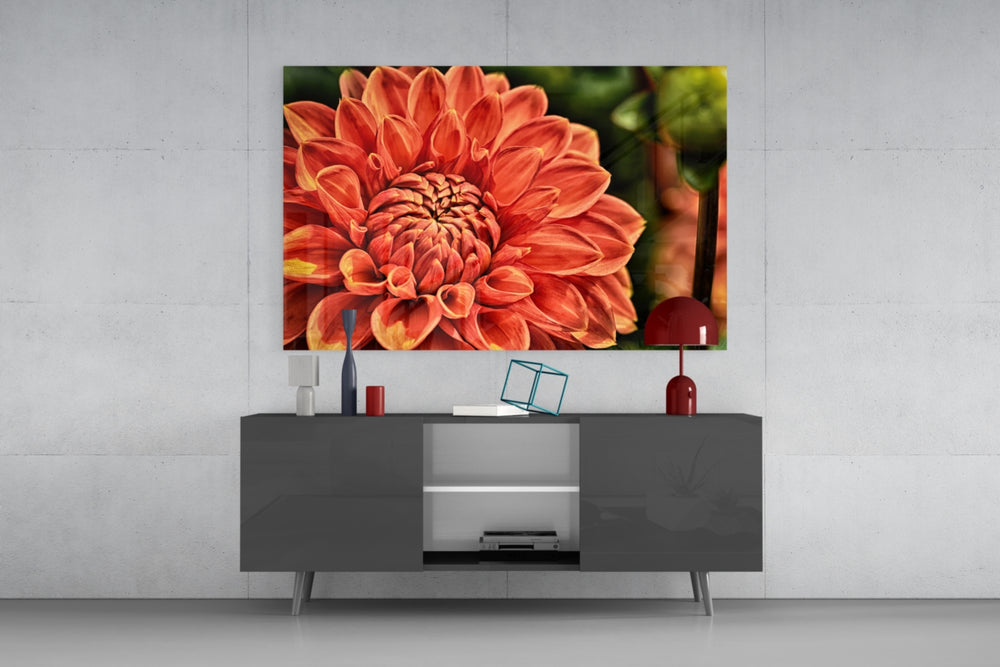 Orange Gerbera panel catching warm light to reveal its layered petals