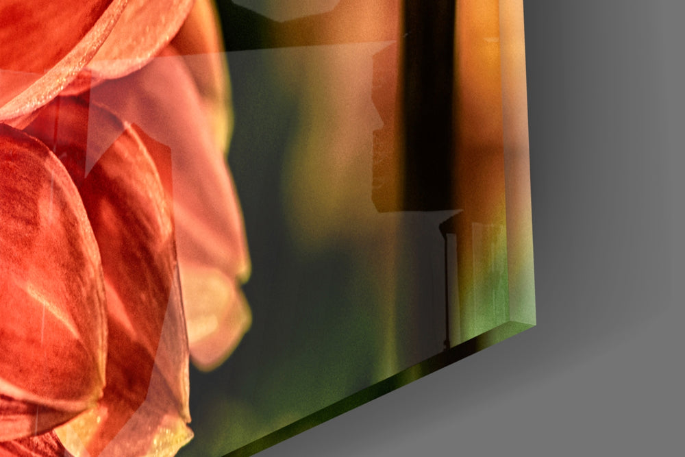 Orange Gerbera artwork anchoring a garden-themed wall in warm palette