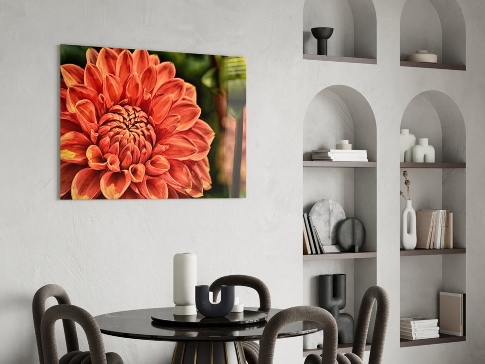 Orange Gerbera panel adding floral spark to a kitchen