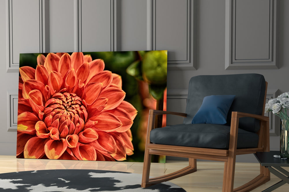Orange Gerbera glass print enhancing a hallway with cheerful warmth