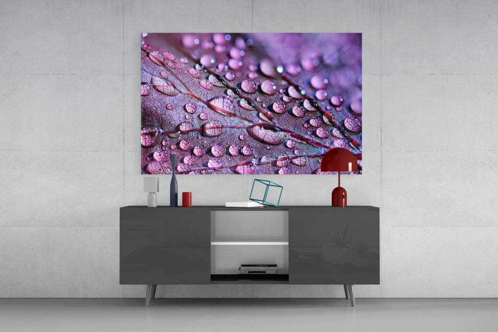 Purple Leaf panel catching low light to reveal its crystal droplets