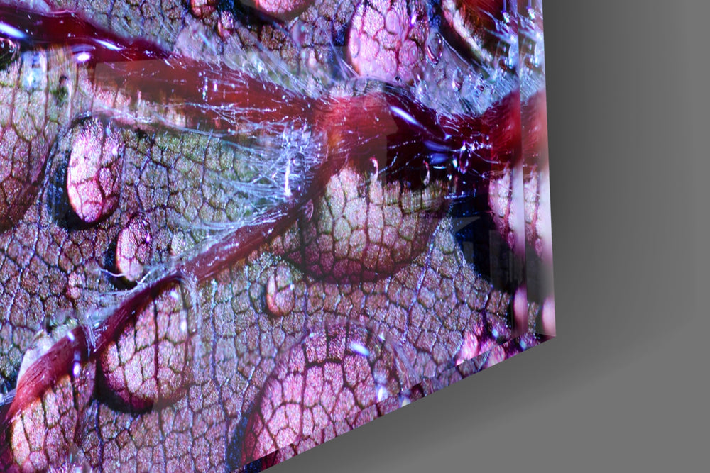 Purple Leaf artwork anchoring a botanical-themed wall in jewel-tone palette
