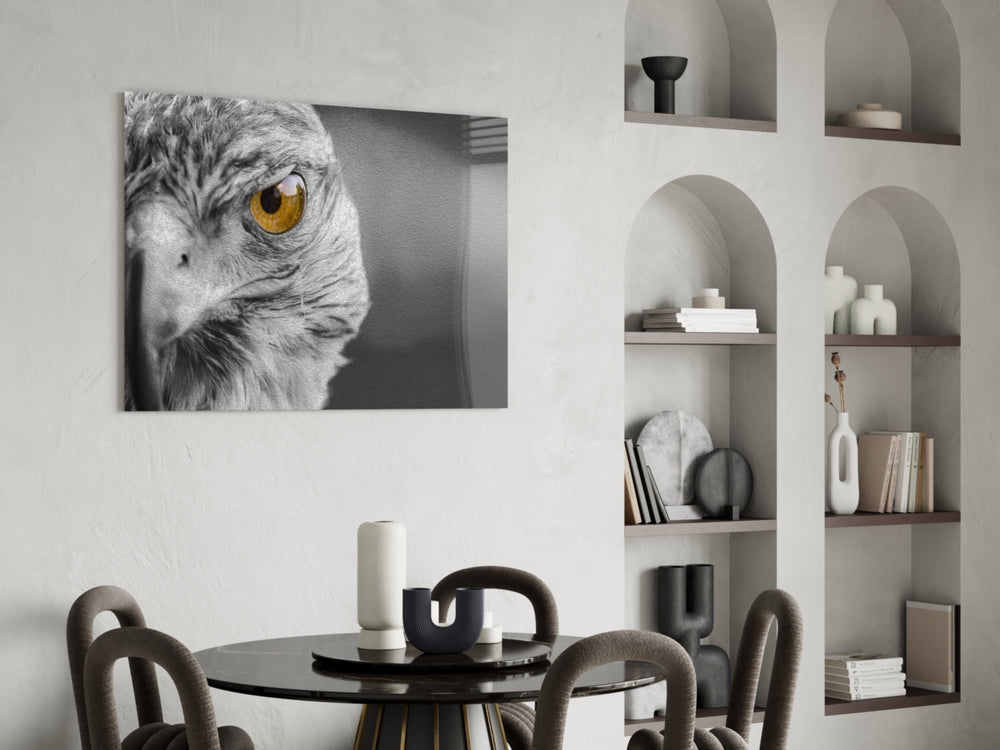 Falcon panel adding leadership taste to an office