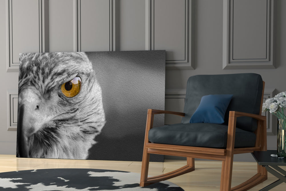 Falcon glass print enhancing a hallway with sentinel gaze