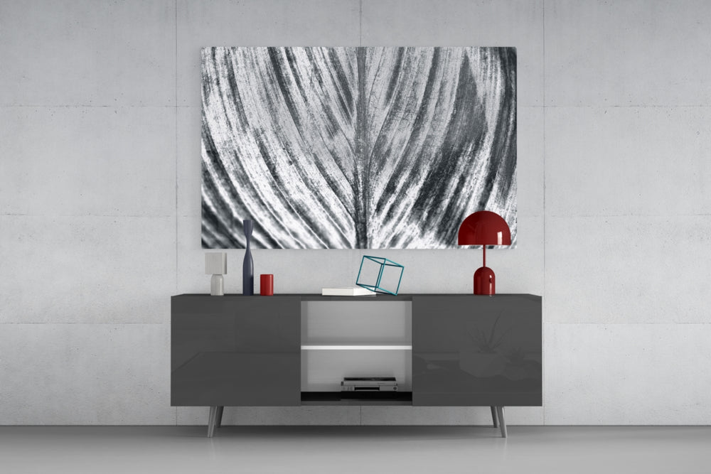 Leaf panel catching soft light to reveal its luminous spine