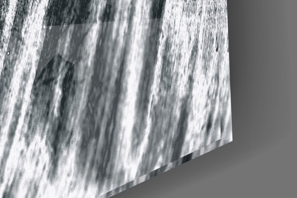 Leaf artwork anchoring a biophilic-themed wall in moody palette