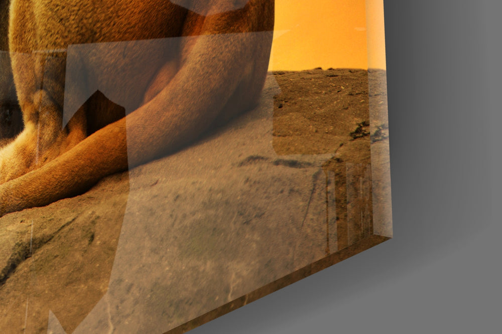 Lion artwork anchoring a library with warm palette