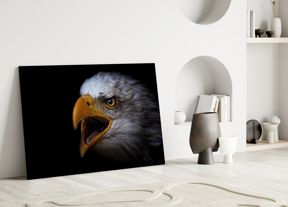 Close-up detail of bald eagle's open beak and amber eye