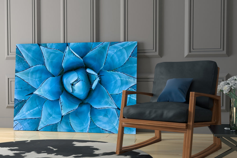 Micro Flower glass print enhancing a hallway with desert mood