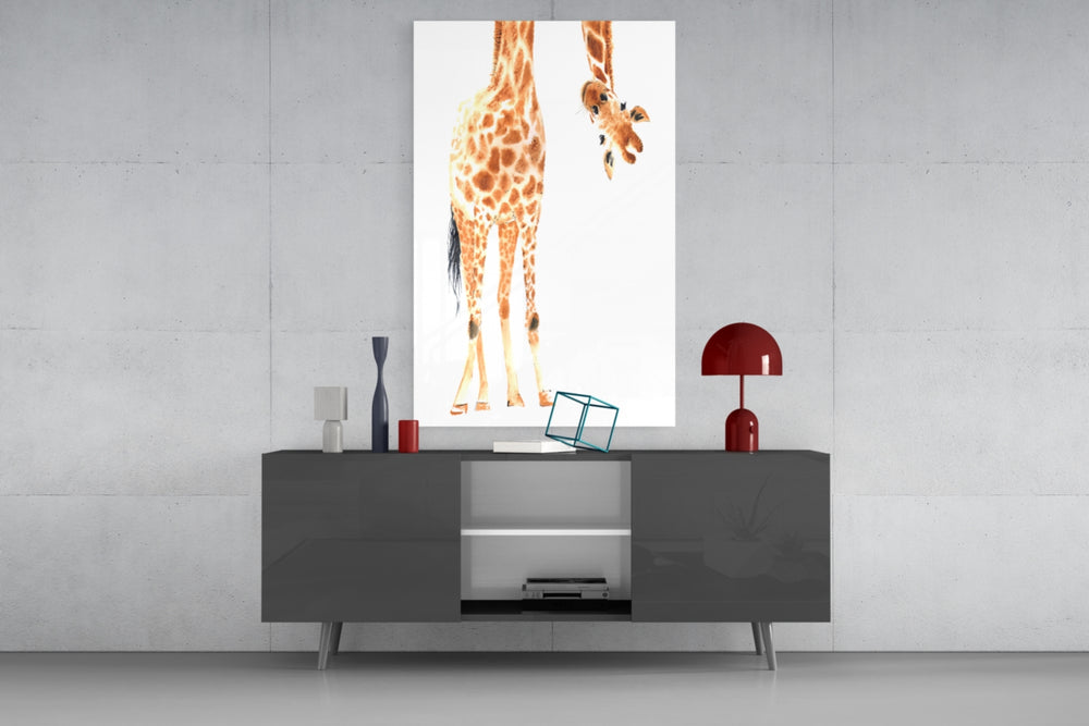Giraffe panel catching soft light to reveal its gentle palette
