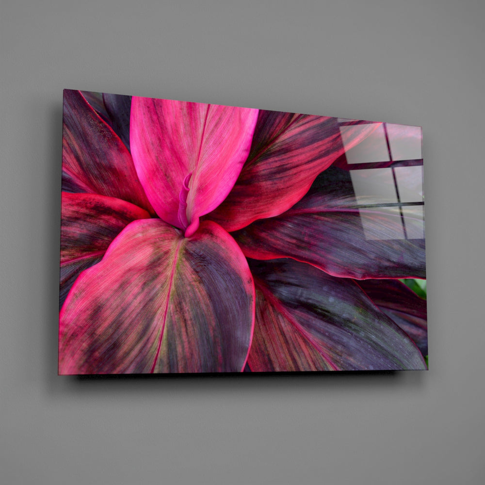 Magenta cordyline panel bringing tropical warmth to a contemporary living space