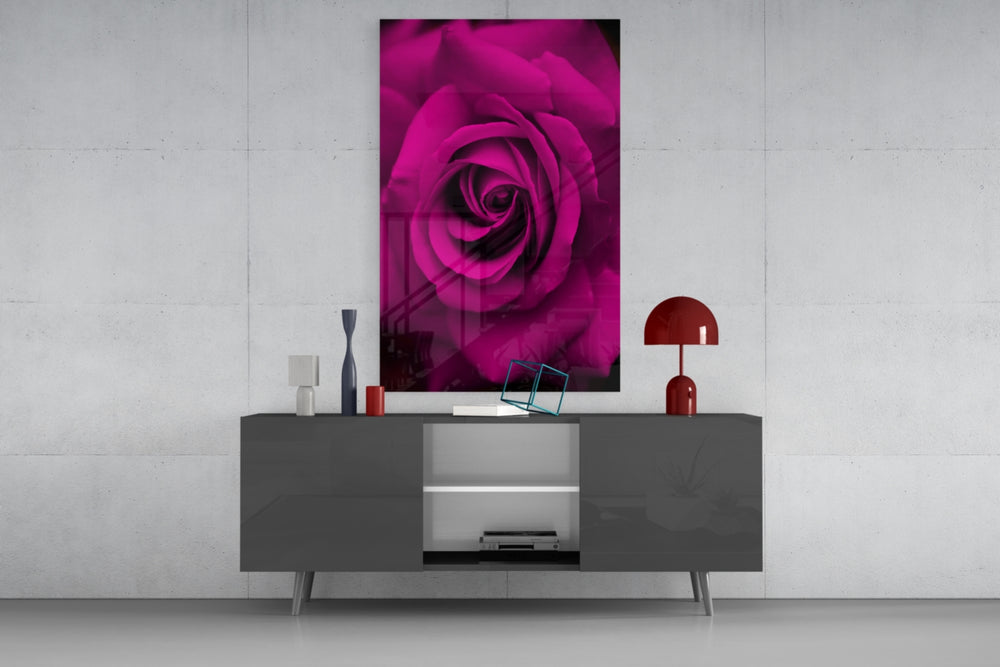 Rose panel catching low light to reveal its petal depth