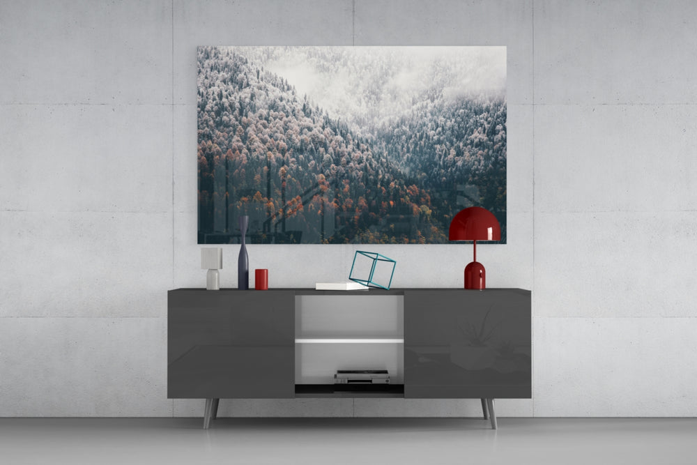 Forest panel catching low light to reveal its misty atmosphere