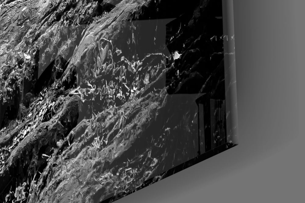 Wolf artwork anchoring a library with monochrome palette
