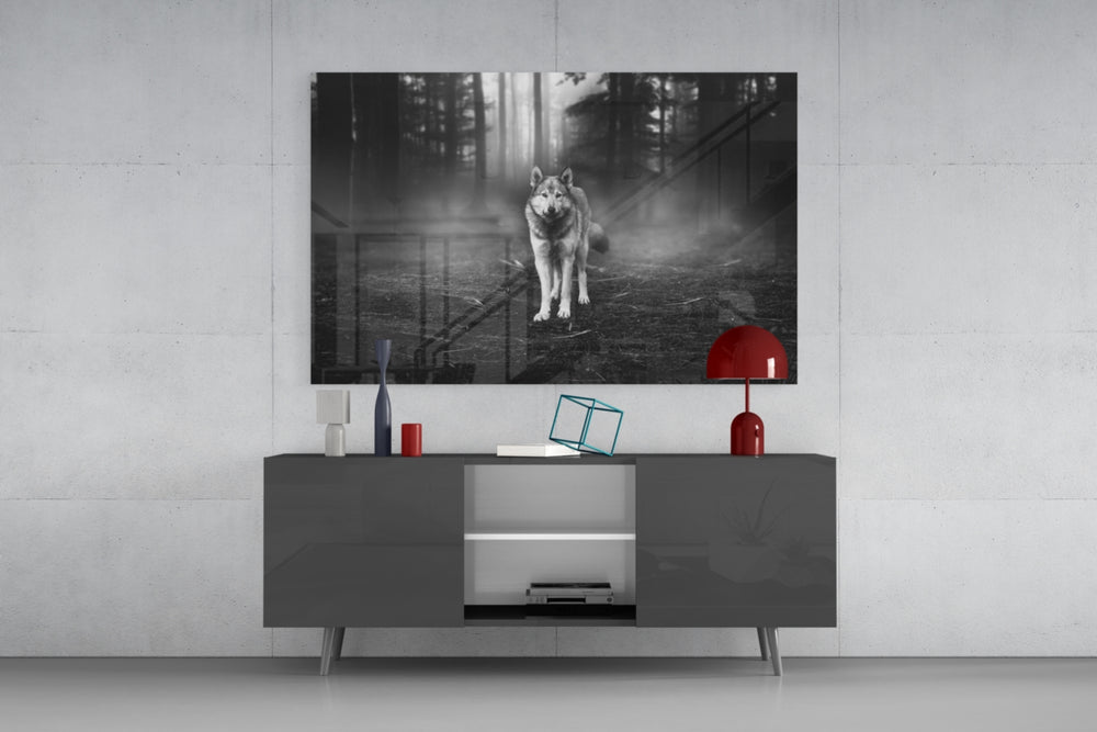 Wolf panel catching low light to reveal its misty atmosphere