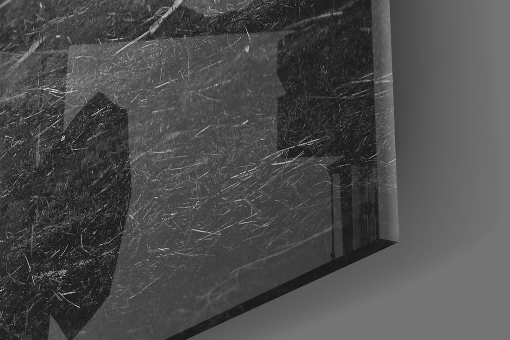 Wolf artwork anchoring a library with monochrome palette