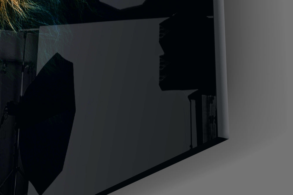 Lion artwork anchoring a library with moody palette