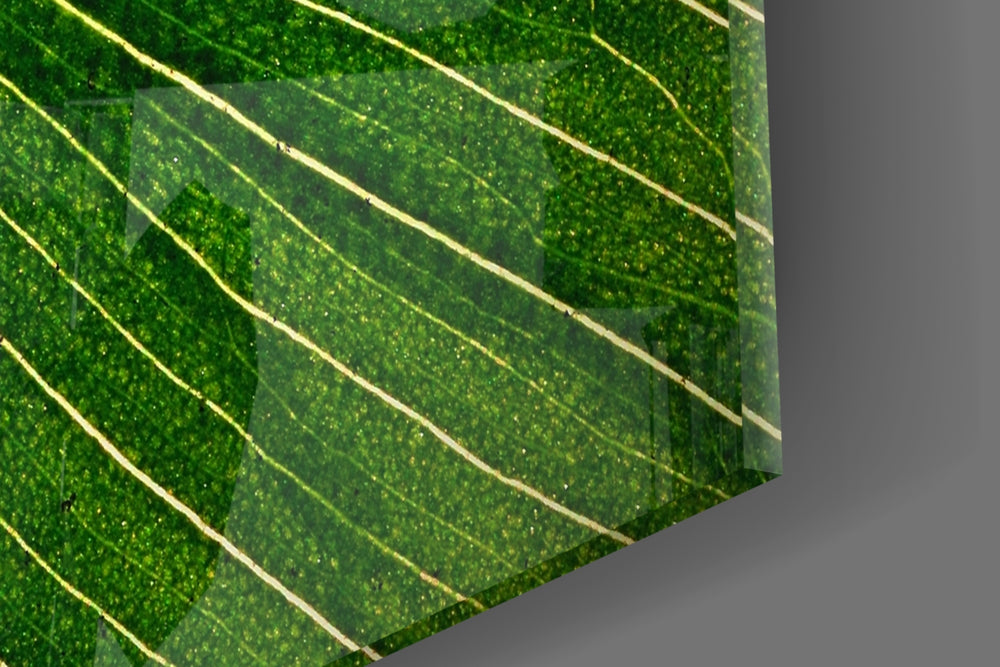 Green Leaf artwork anchoring a biophilic-themed wall in bold palette