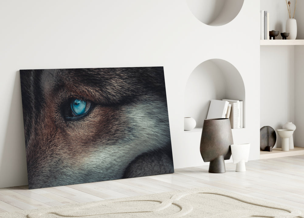 Close-up detail of glacial blue iris and silver fur fiber