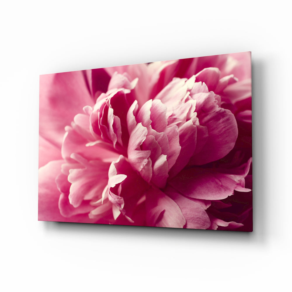 Pink Flower glass wall art displayed above a console in a designer interior