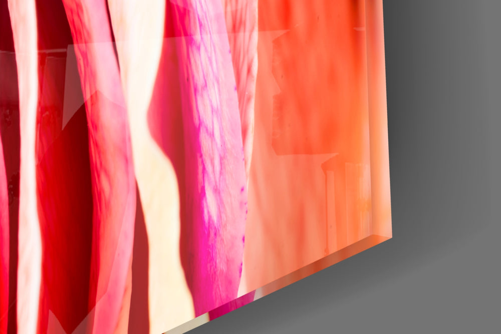 Colored Rose artwork anchoring a wall with bold romantic palette