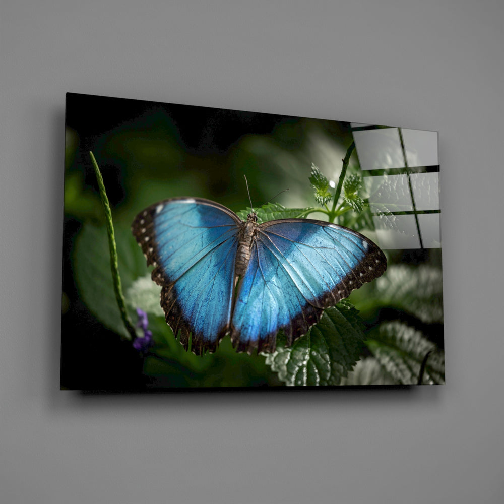 Blue-morpho panel bringing forest wonder to a contemporary living space