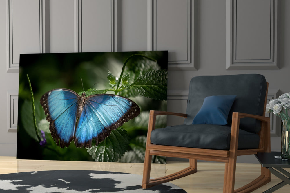 Butterfly glass print enhancing a hallway with garden poetry