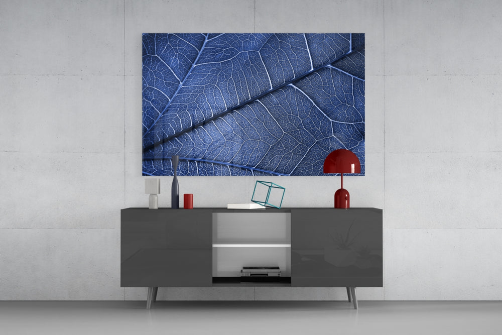 Macro Blue Leaf panel catching soft light to reveal its crystal lattice