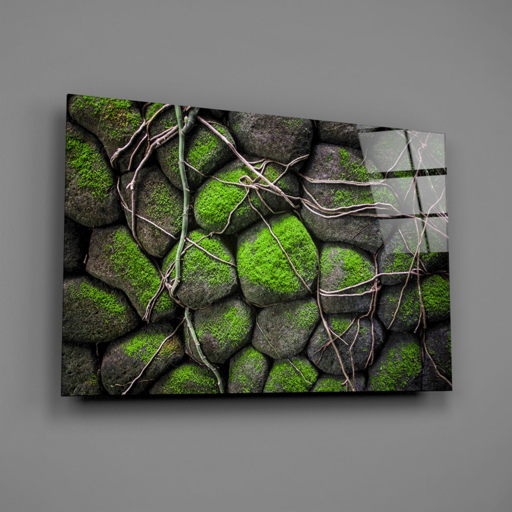 Mossy-stone panel bringing biophilic calm to a contemporary living space