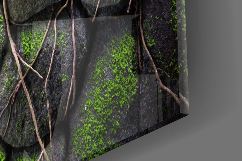 Mossy Stones artwork anchoring a wall with organic biophilic palette