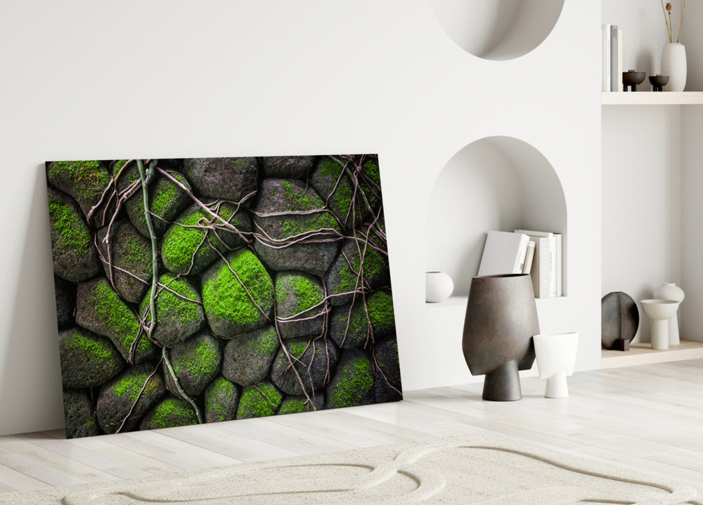 Close-up detail of green moss and tan vine tendrils across river stones
