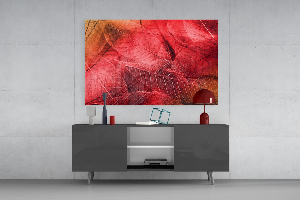 Macro Red Leaf panel catching soft light to reveal its translucent ribs