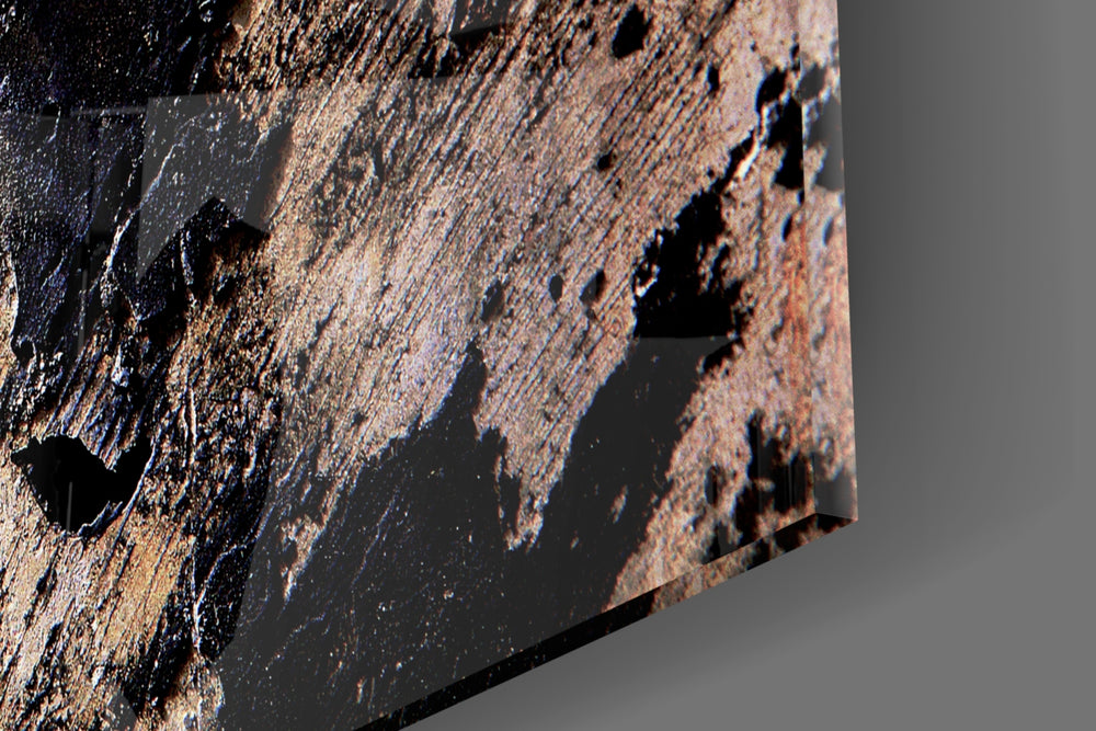 Rustic Imagination artwork anchoring a wall with moody organic palette