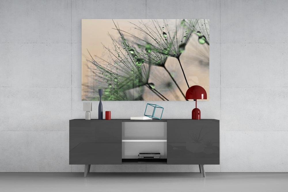 Green Dandelion panel catching soft light to reveal its dewdrop sparkle