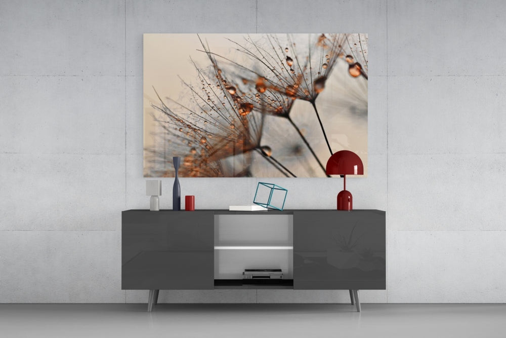 Cinnamon Dandelion panel catching soft light to reveal its dewdrop sparkle