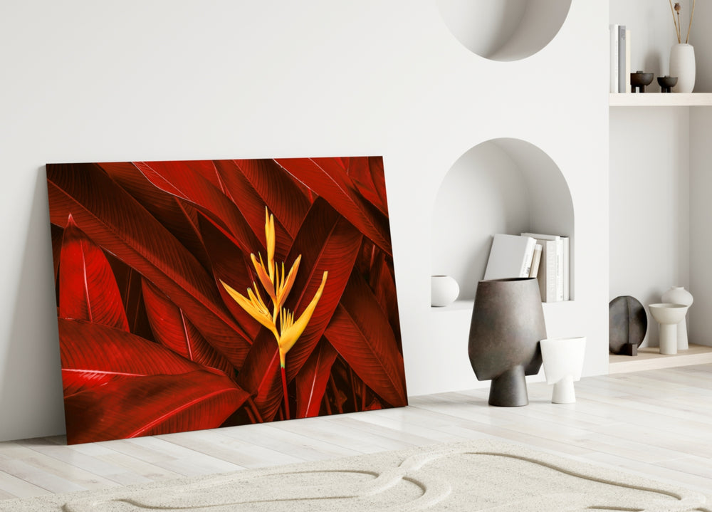 Close-up detail of yellow heliconia bloom among layered crimson leaves