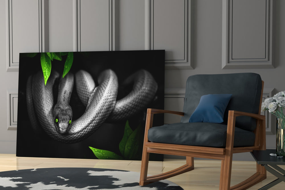 Snake glass print enhancing a teen room with edgy spirit
