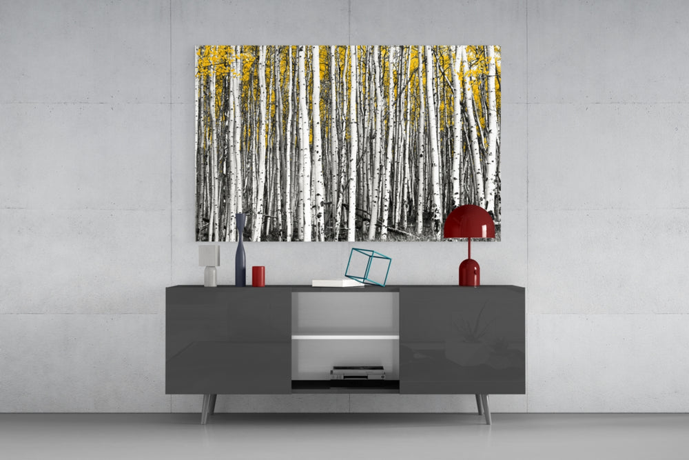 Yellow Forest panel catching morning light to reveal its tactile bark grain