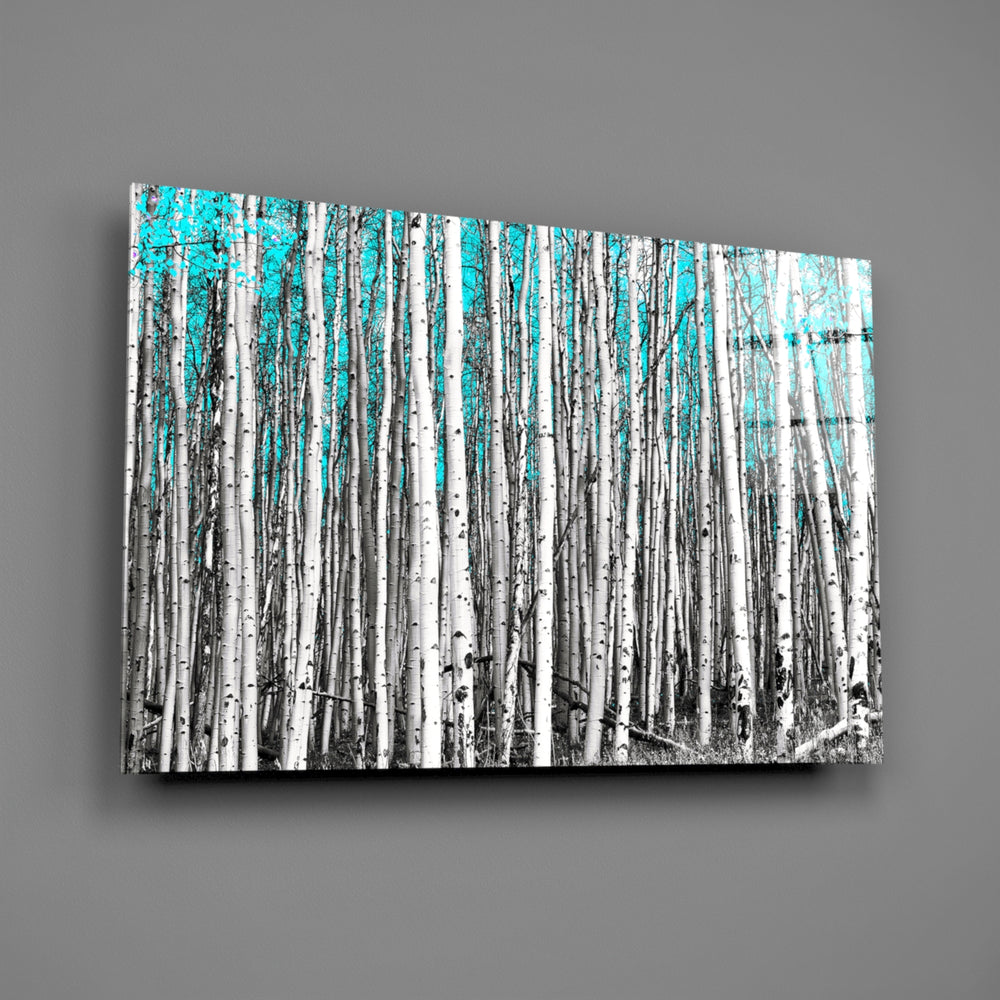 Birch-grove panel bringing coastal-cool calm to a contemporary living space