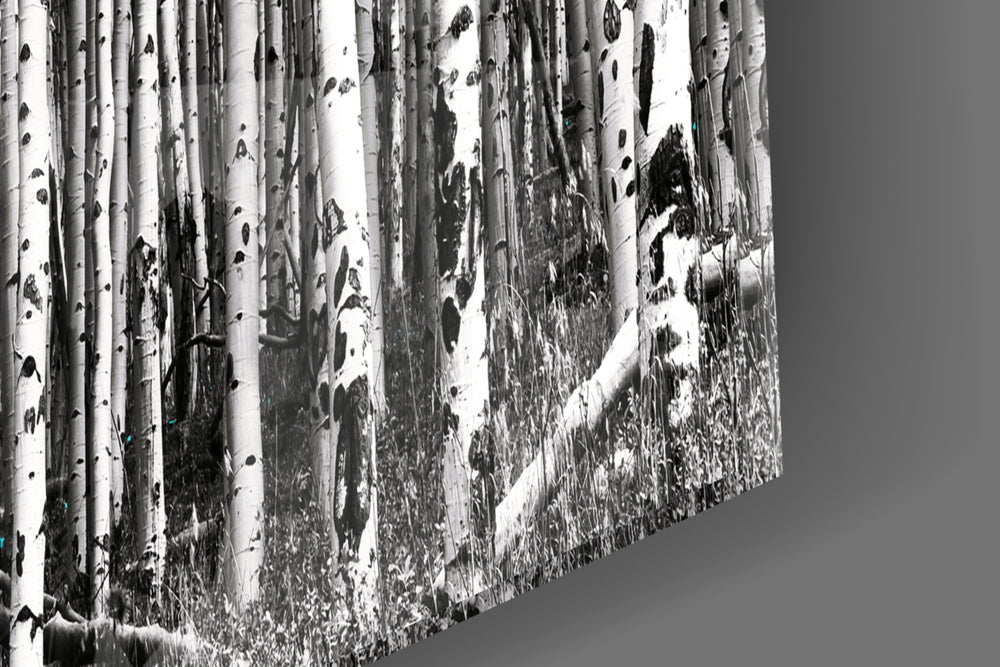 Blue Forest artwork anchoring a wall with calm coastal palette