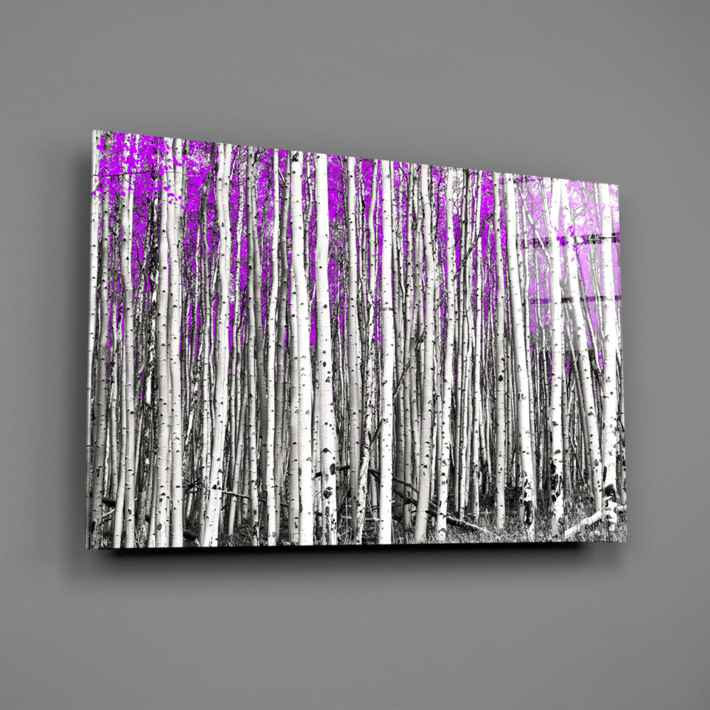 Birch-grove panel bringing playful drama to a contemporary living space