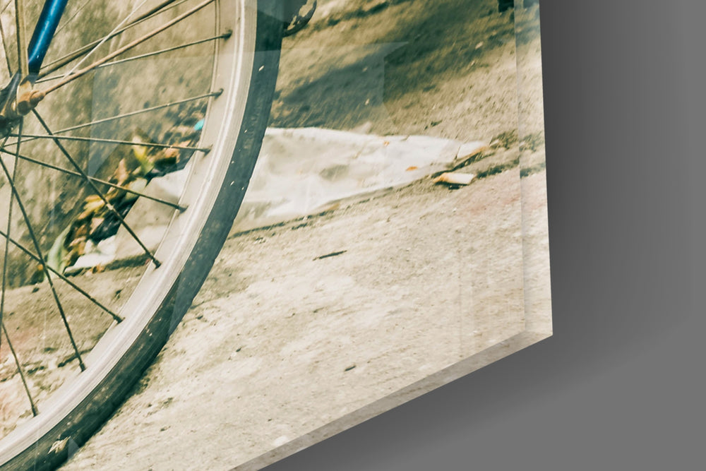 Bicycle Basket artwork anchoring a wall with warm wanderlust palette