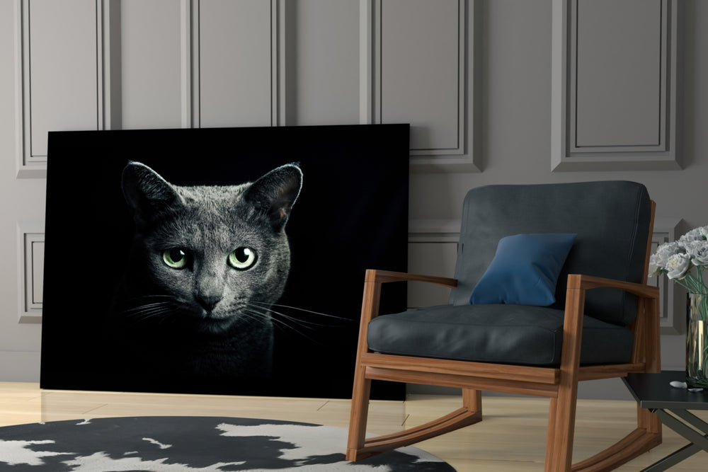 Cat glass print enhancing a hallway with quiet drama