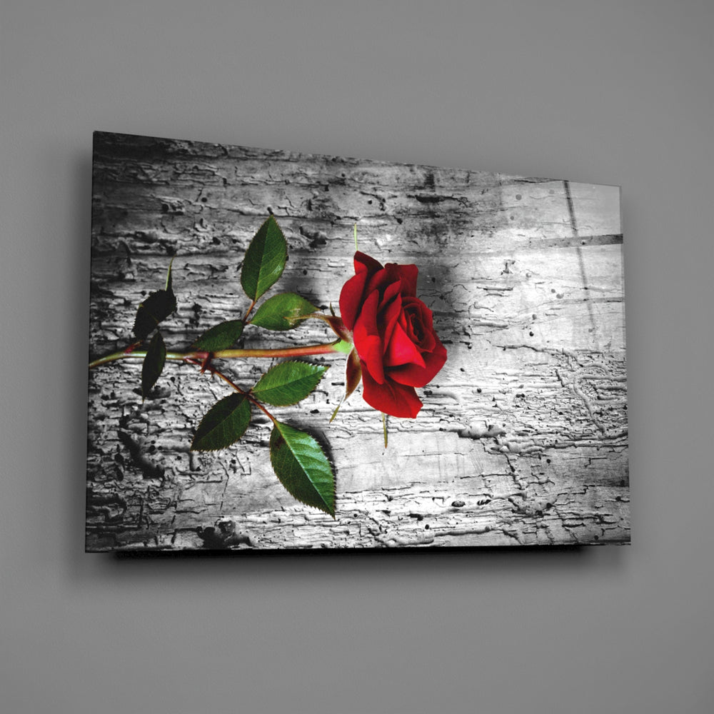 Crimson-rose panel bringing romantic warmth to a contemporary living space