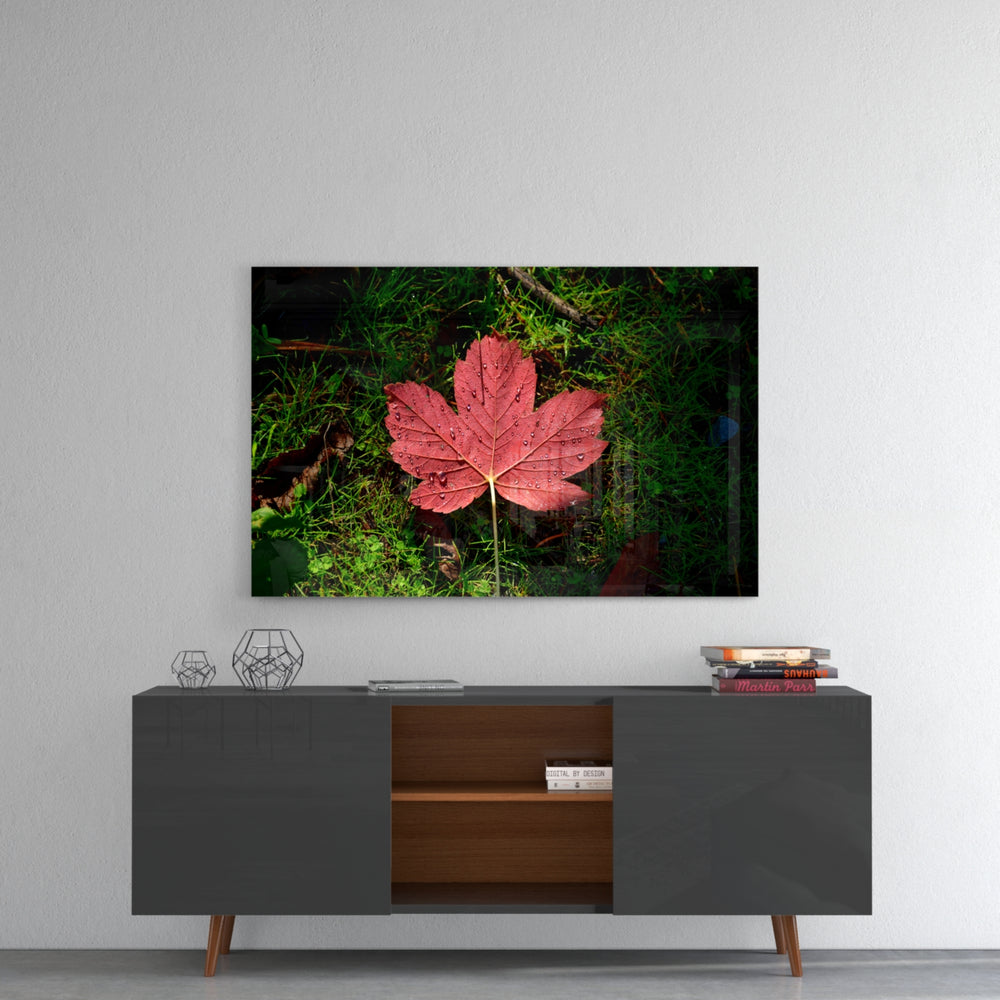 Pink Leaf panel catching morning light to reveal its tactile shimmer